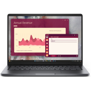 Dell Pro 14 Core™ Ultra 5 225U 256GB 16GB 14" (1920x1200) WIN11 Pro PLATINUM SILVER 1-year on-site warranty