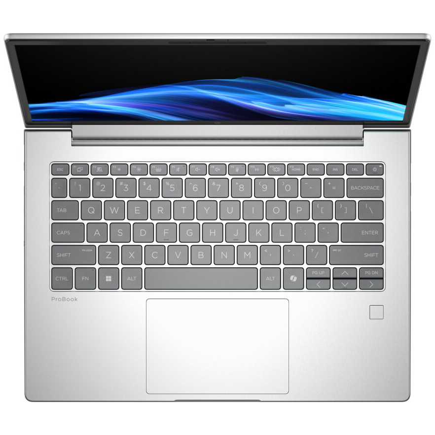 HP ProBook 4 G1 AMD Ryzen™ 7 250 512GB SSD 16GB 14" (1920x1200) WIN11 Pro PIKE SILVER Backlit Keyboard FP Reader – תמונה 5